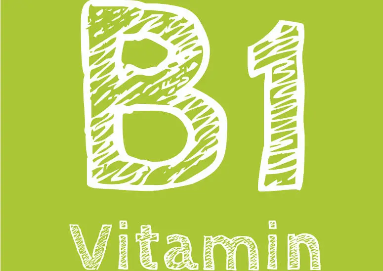 티아민에이치씨엘 Thiamine HCl