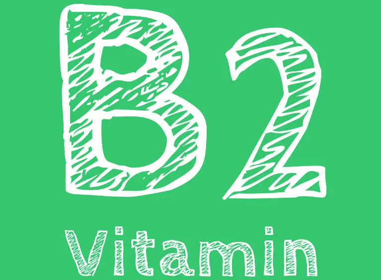리보플라빈 Riboflavin
