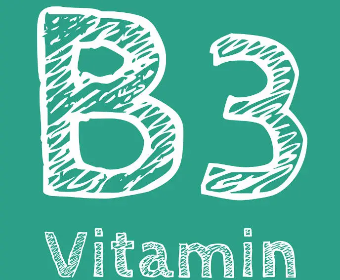 나이아신아마이드 Niacinamide