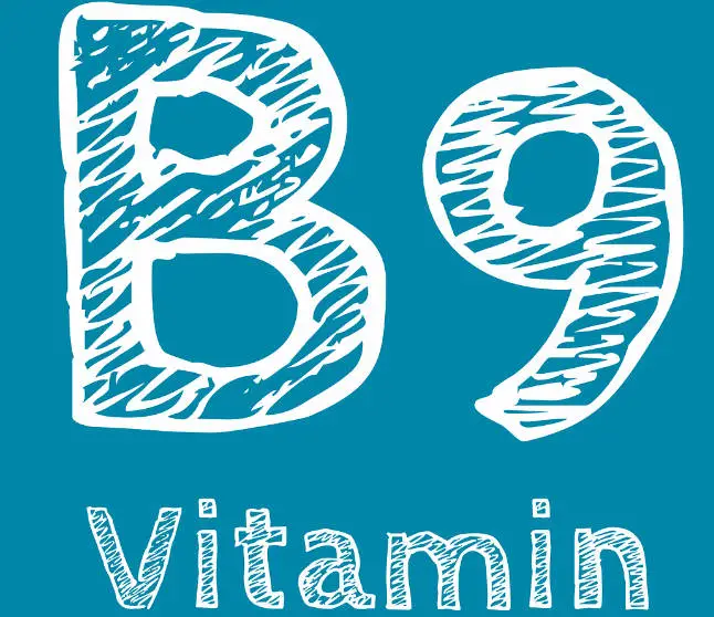 폴릭애씨드 Folic Acid
